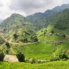 1 day easy trekking in sapa 25