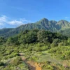 Fansipan Trek - 1 Day 13 PHOTO 2023 11 29 10 26 58