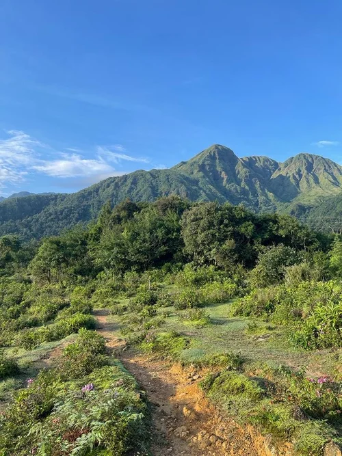 Fansipan Trek - 1 Day 2 Fansipan Trek - 1 Day - Ảnh 2