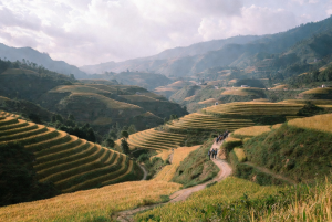 best sapa hiking routes for 2026 trails difficulty expert advice 2