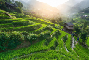 best time to visit sapa vietnam best months weather travel tips