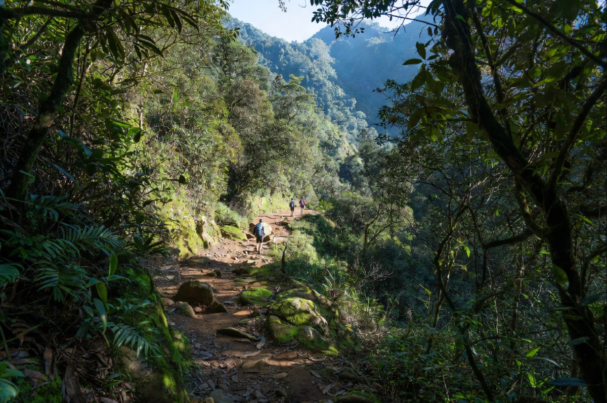 Fansipan Trek Guide: Conquer Vietnam’s Highest Peak from Sapa 1 fansipan trek guide conquer vietnams highest peak from sapa 1