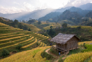 sapa homestay guide where to stay for an authentic hmong experience
