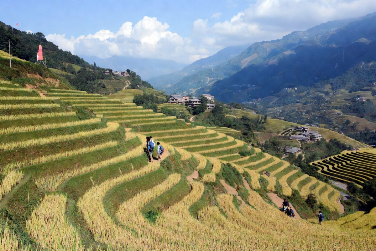 sapa trekking guide best hiking trails local stays essential planning