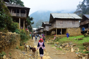 trekking in sapa vietnam local routes insider tips what to expect 1