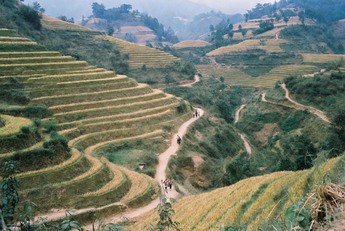 Trekking in Sapa, Vietnam: Local Routes, Insider Tips & What to Expect 1 trekking in sapa vietnam local routes insider tips what to expect 2